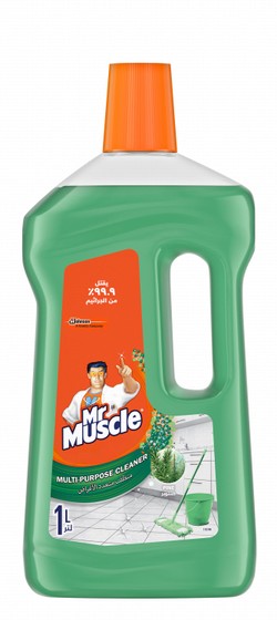 Mr Muscle Multipurpose Cleaning Liquid Pine Scent
